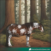 Horse Color:Liver Chestnut Ice Sabino Tobiano 