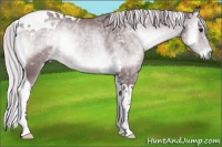 Horse Color:Chocolate Silver Blue Onyx Chinchilla Ice Tobiano 