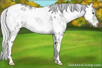 Horse Color:Silver Blue Onyx Chinchilla Roan Tobiano  and Silver Bay Chinchilla Ice Roan Onyx Tobiano 
