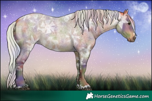 Horse Color:Nacre Silver Buckskin Ice Roan 