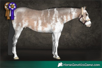 Horse Color:White Spotted Brown Dun 