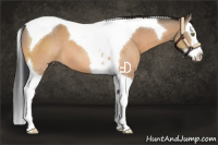 Horse Color:Brown Dun Splash Tobiano