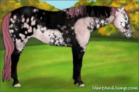 Horse Color:Void Watercolor Smoky Blue Onyx Pearl Sabino Tobiano Appaloosa