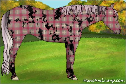 Horse Color:Void Plaid  White Spotted Silver Grullo Sabino 