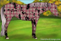 Horse Color:Void Plaid  White Spotted Silver Grullo Sabino 
