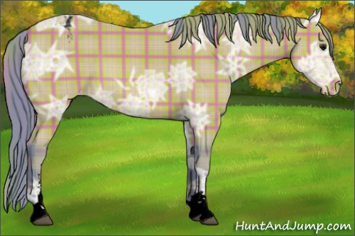 Horse Color:Void Watercolor Plaid  Bay Ice Sabino Appaloosa 