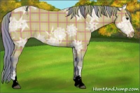 Horse Color:Void Watercolor Plaid  Bay Ice Sabino Appaloosa 