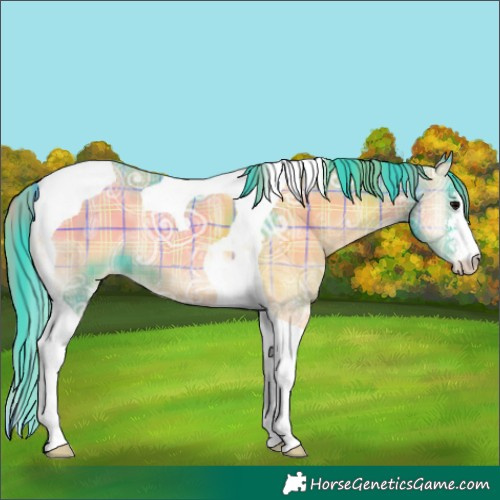 Horse Color:Watercolor Plaid  Blue Onyx Ice Sabino Tobiano Varnish 