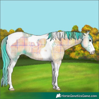 Horse Color:Watercolor Plaid  Blue Onyx Ice Sabino Tobiano Varnish 