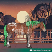 Horse Color:Painted Silver Brown Sabino Appaloosa 