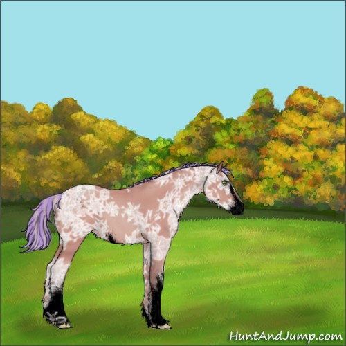 Horse Color:Void Painted Watercolor Silver Amber Champagne Ice Sabino 