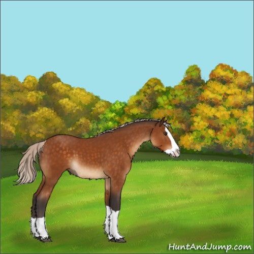 Horse Color:Silver Buckskin Splash 