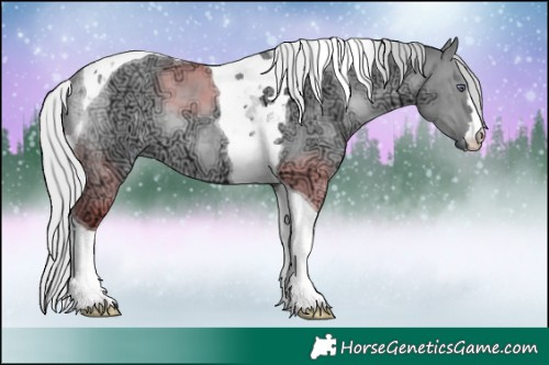 Horse Color:Silver Brown Chinchilla Ice Dun Tobiano 