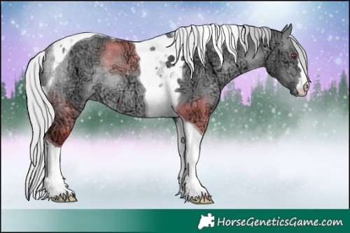 Horse Color:Silver Brown Chinchilla Ice Dun Tobiano 