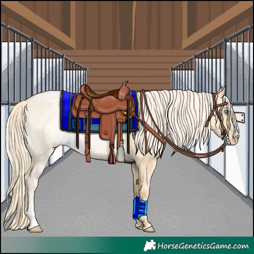 Horse Color:Palomino Pearl Dun 