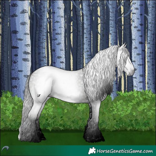 Horse Color:Gray Void White Spotted Midnight Brown Chinchilla Onyx