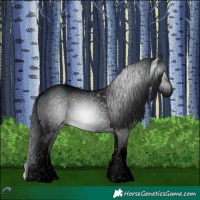 Horse Color:Gray Void White Spotted Midnight Brown Chinchilla Onyx 