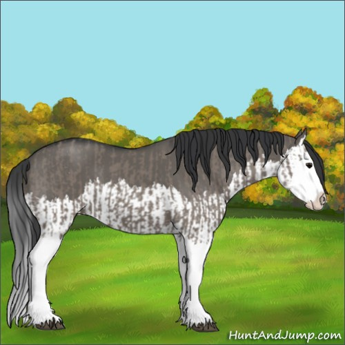 Horse Color:Grullo Sabino Splash  and Grullo Sabino Splash 