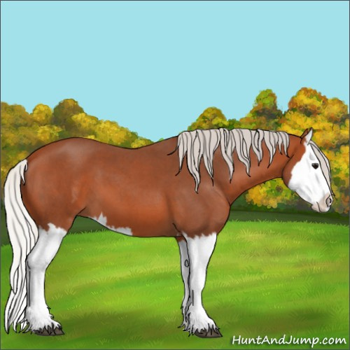 Horse Color:Silver Bay Roan Splash 