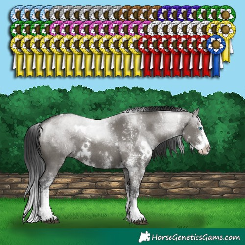 Horse Color:White Spotted Grullo Splash 