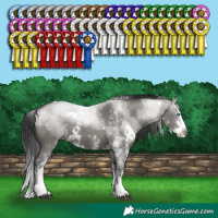 Horse Color:White Spotted Grullo Splash