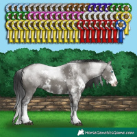 Horse Color:White Spotted Grullo Splash 