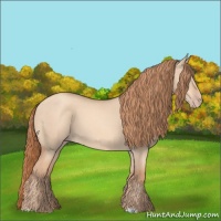 Horse Color:Gold Champagne Dun 