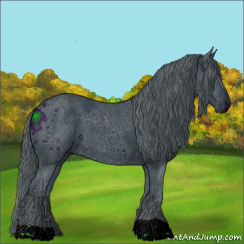 Horse Color:ERROR: UNKNOWN ANOMALY
