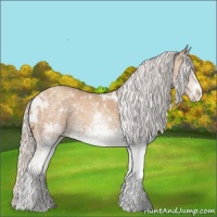 Horse Color:White Spotted Silver Classic Champagne 