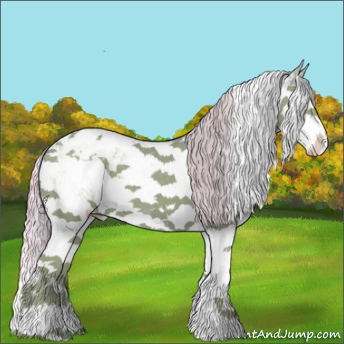 Horse Color:ERROR: UNKNOWN ANOMALY