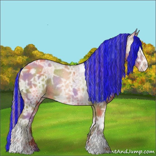 Horse Color:ERROR: UNKNOWN ANOMALY