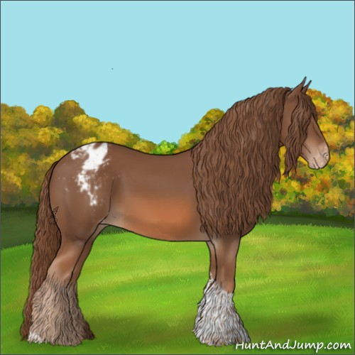 Horse Color:Chestnut Tobiano Appaloosa 