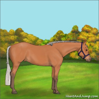 Horse Color:Silver Bay 