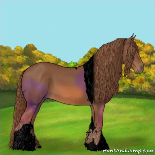 Horse Color:Void Chestnut Tobiano 