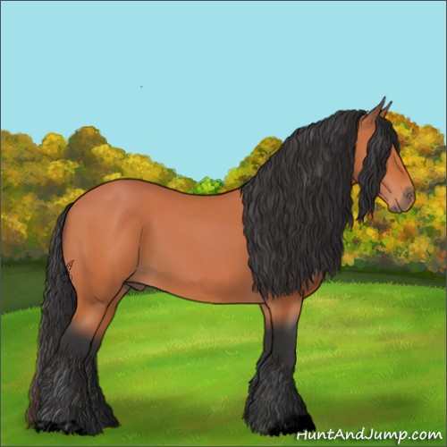 Horse Color:Void Bay 