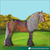 Horse Color:Gray Void Nacre Silver Bay Appaloosa 