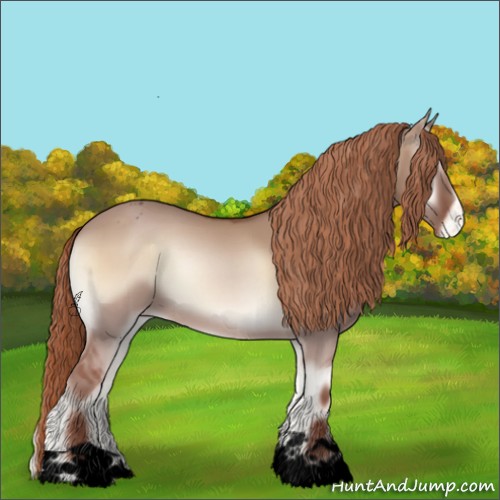 Horse Color:Void Red Dun Onyx Appaloosa 