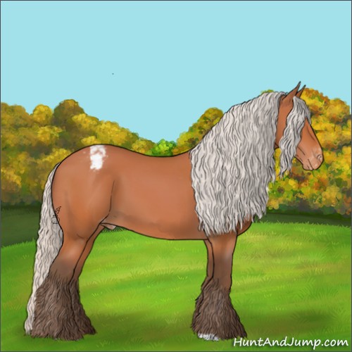 Horse Color:Silver Bay Appaloosa 
