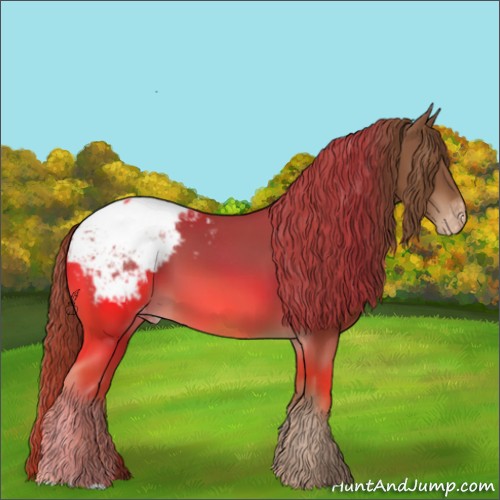 Horse Color:Chestnut Snowcap 