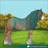 Horse Color:White Spotted Chestnut 