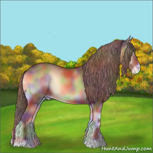 Horse Color:Nacre Red Onyx Appaloosa 