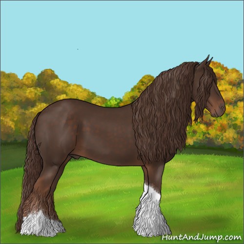 Horse Color:Liver Chestnut Tobiano 