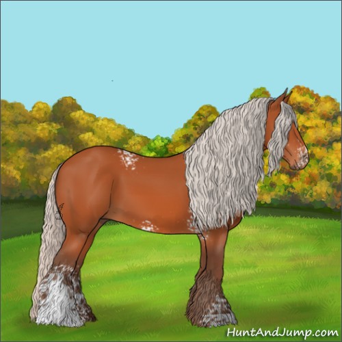 Horse Color:White Spotted Silver Brown 