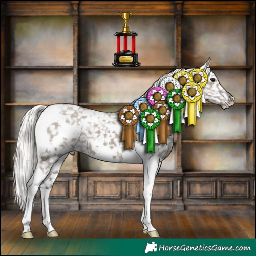 Horse Color:White Spotted Silver Grullo Tobiano Appaloosa 