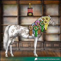 Horse Color:White Spotted Silver Grullo Tobiano Snowflake Varnish 