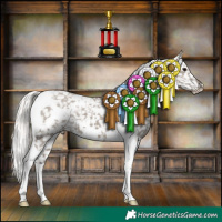 Horse Color:White Spotted Silver Grullo Tobiano Appaloosa