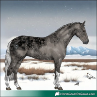 Horse Color:Platinum Silver Smoky Grullo Ice Tobiano