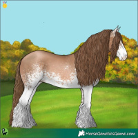 Horse Color:White Spotted Liver Chestnut Pearl 