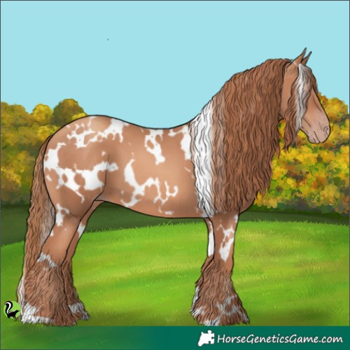 Horse Color:White Spotted Gold Champagne 
