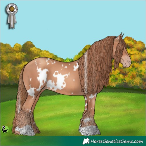 Horse Color:White Spotted Gold Champagne 